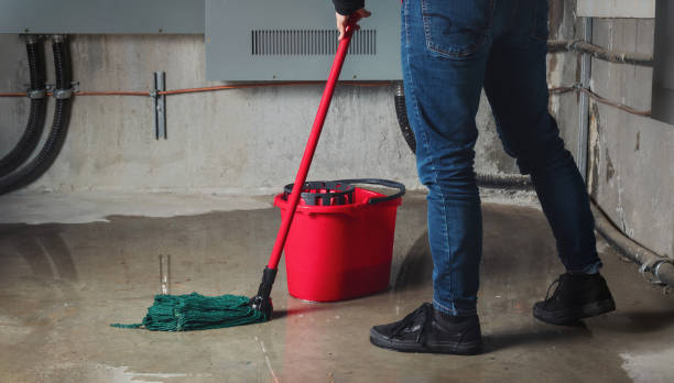 Best Flood damage cleanup  in Earlimart, CA