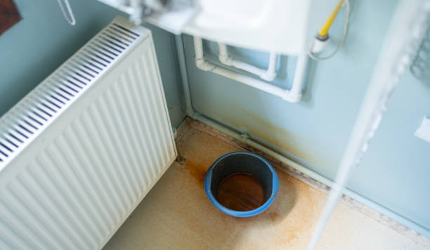 Best Professional water damage repair  in Earlimart, CA