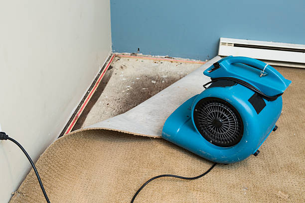  Earlimart, CA Water damage restoration Pros
